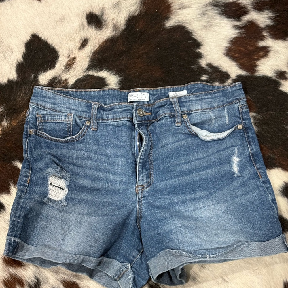 Stylish Blue Denim Jean Shorts